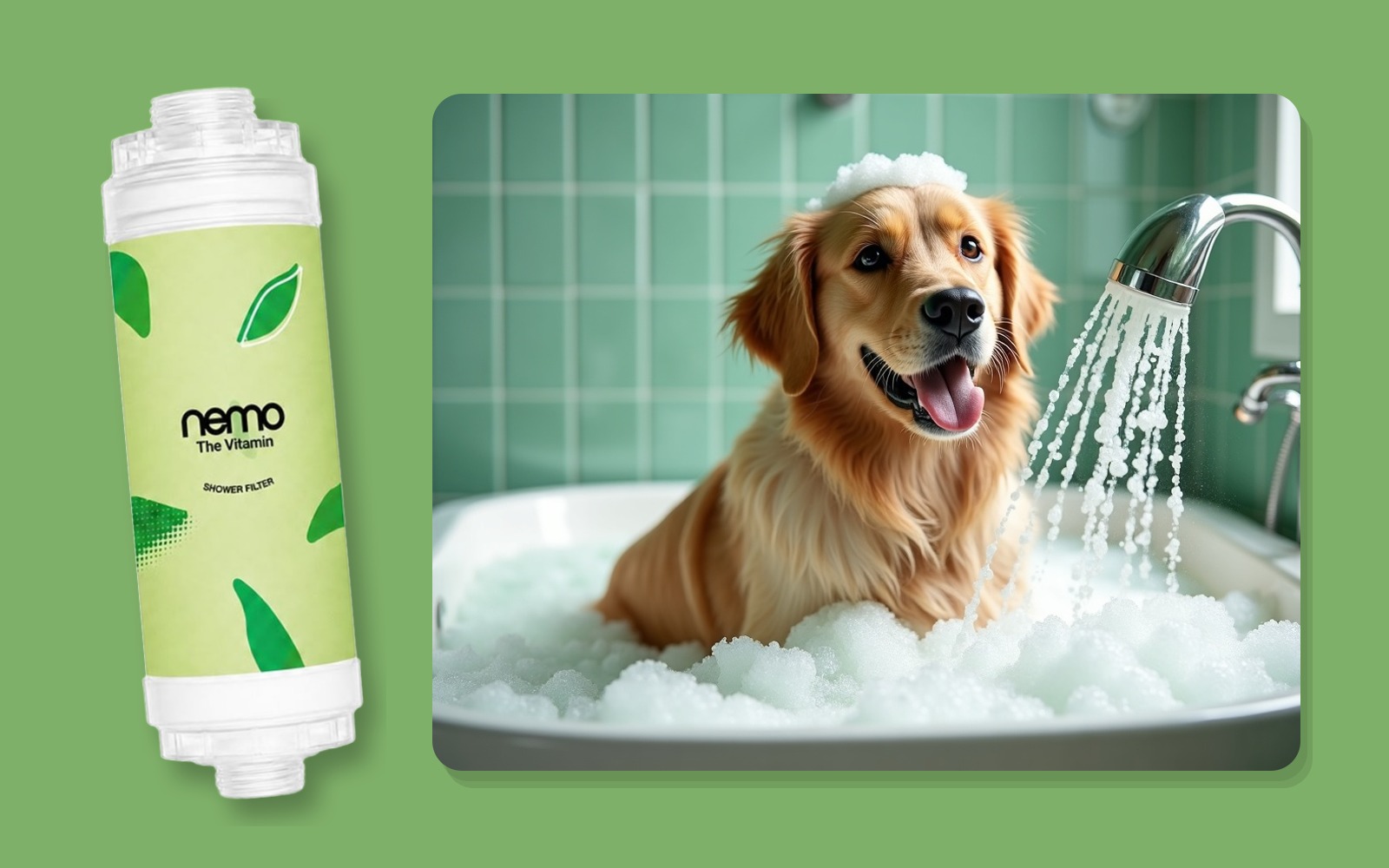 Filtre de douche NEMO Thé vert devant le bain moussant d'un golden retriever